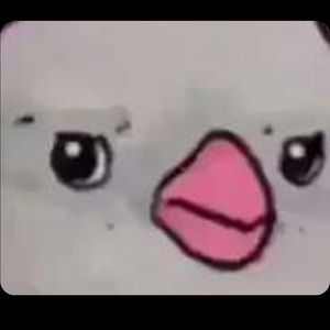 Meet your Posher, Robbie